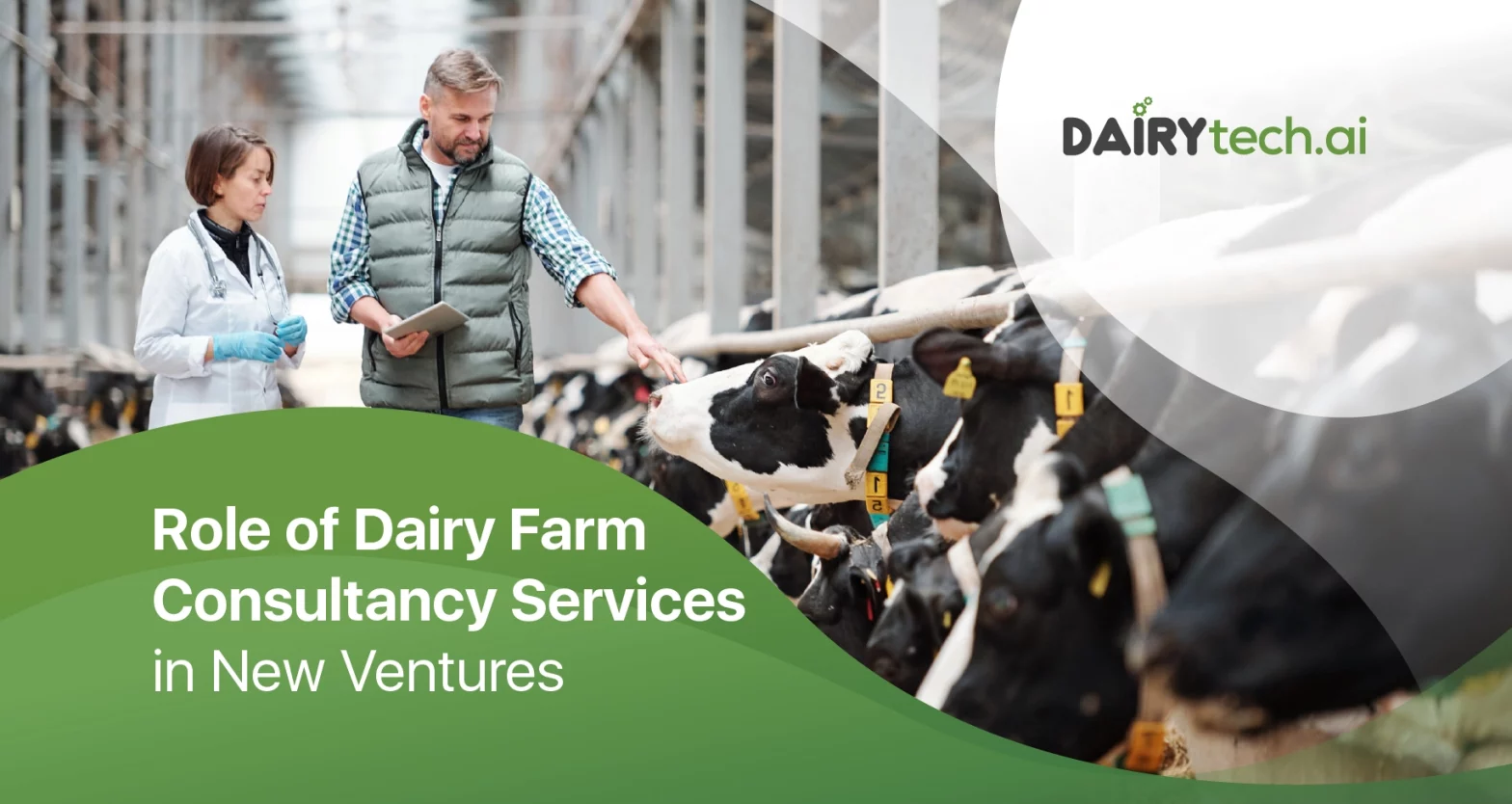 dairytechai-founded-by-ravi-garg-website-insights-role-of-dairy-farm-consultancy-services-in-new-ventures