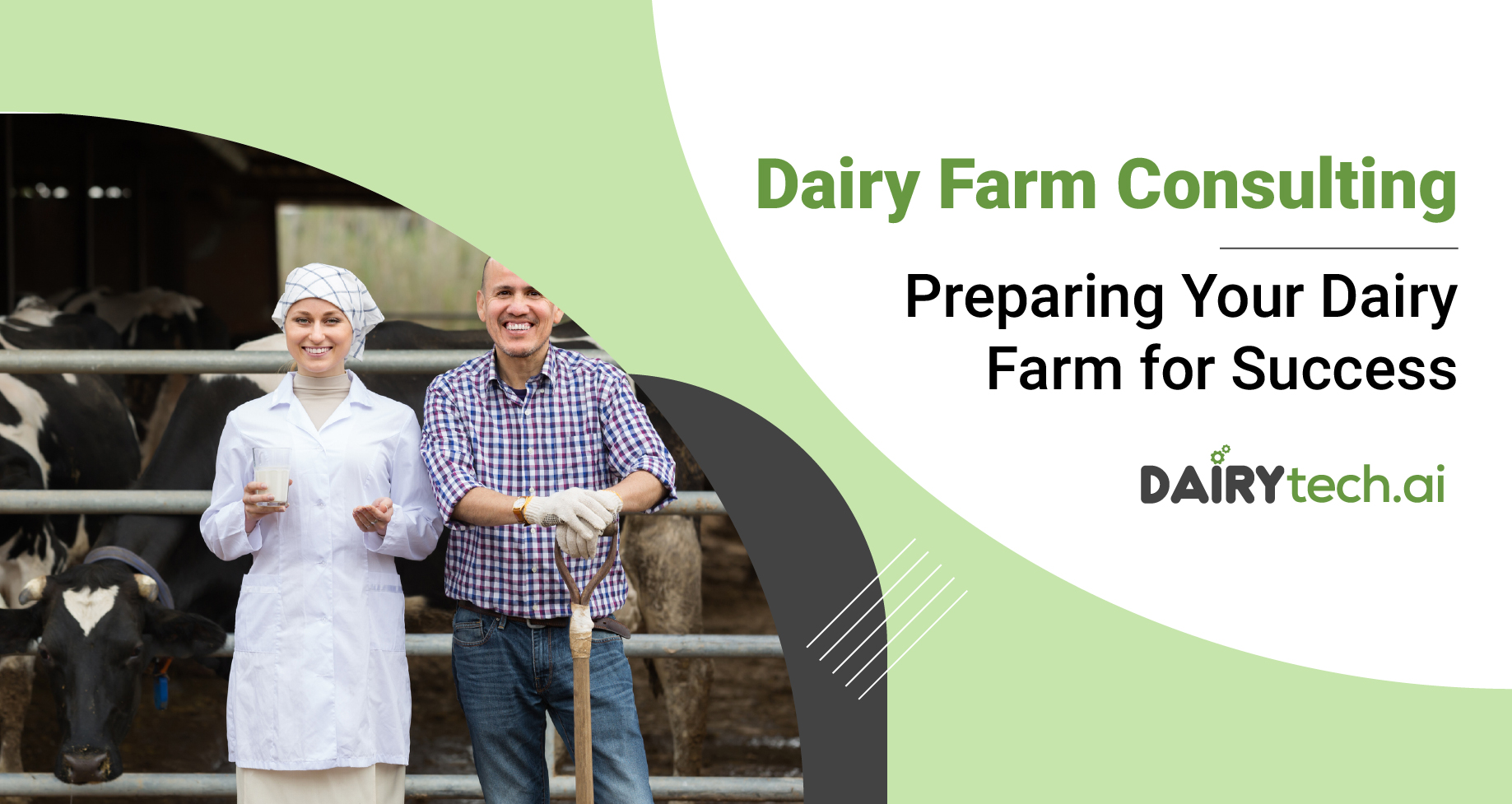 Dairy Farm Consulting Preparing Your Dairy Farm for Success