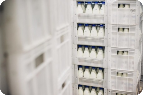 DairyTech AI, optimized inventory and cold storage, multi-location stock management, real-time tracking, stock valuation